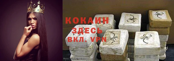 прущие грибы Богородск
