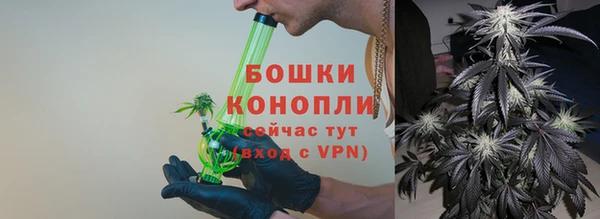 тгк Богданович