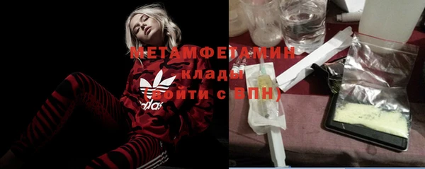 прущие грибы Богородск