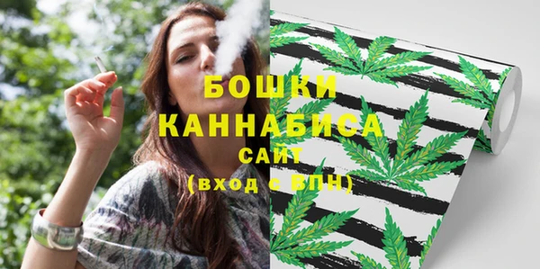 прущие грибы Богородск