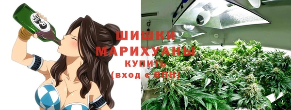тгк Богданович