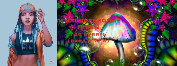 тгк Богданович