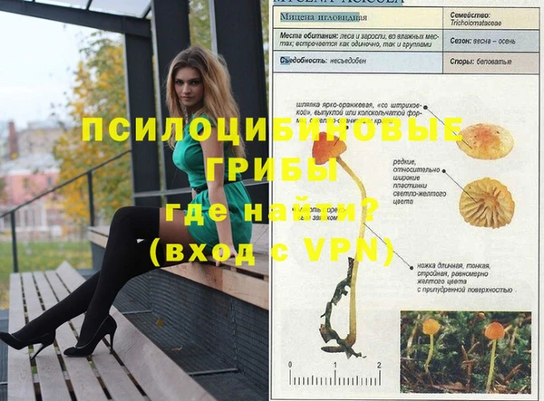прущие грибы Богородск