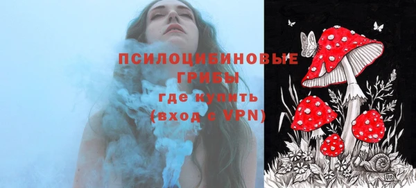 тгк Богданович