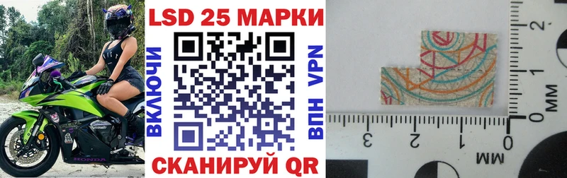 Купить Губкин Марки 25I-NBOMe 1500мкг